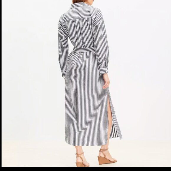 ANN TAYLOR LOFT BELTED PETITE POCKET SHIRTDRESS STRIPED NWOT $100 M P - Picture 3 of 7